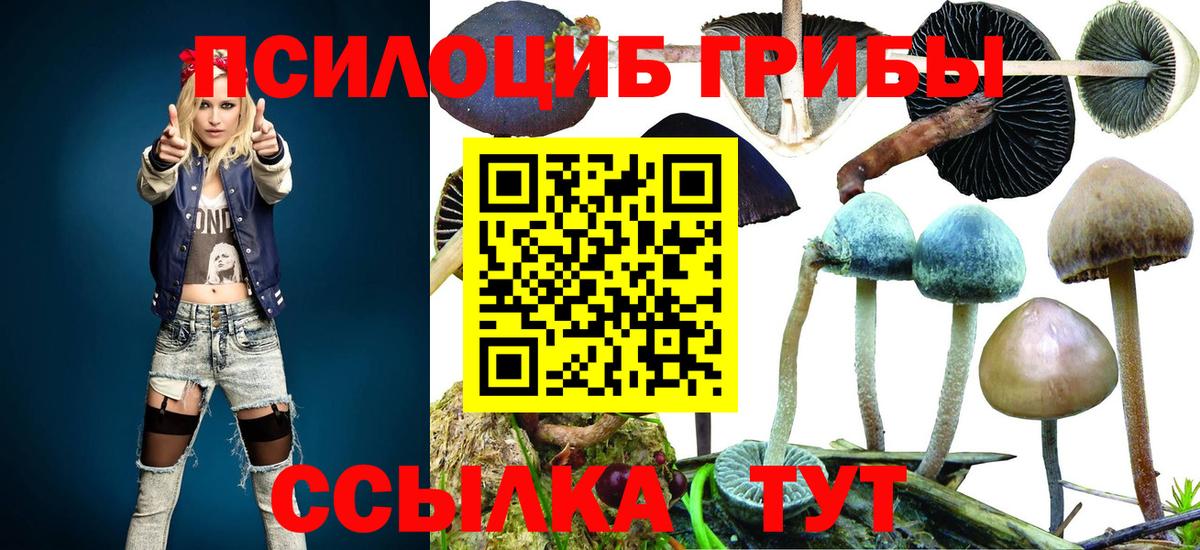 Галлюциногенные грибы Magic Shrooms  Вход с VPN  продажа наркотиков  Прохладный  Галлюциногенные грибы Cubensis 