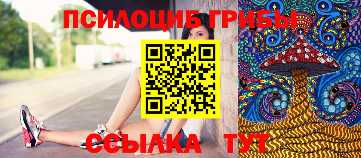 Псилоцибиновые грибы GOLDEN TEACHER Прохладный